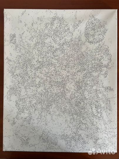 Картина по номерам новая, 40*50 см