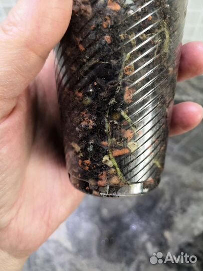 Диффенбахия