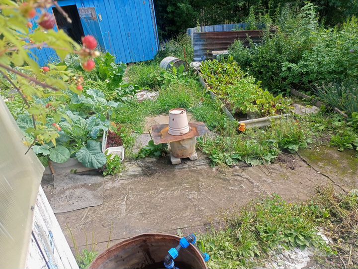 Участок 3,2 сот. (СНТ, ДНП)