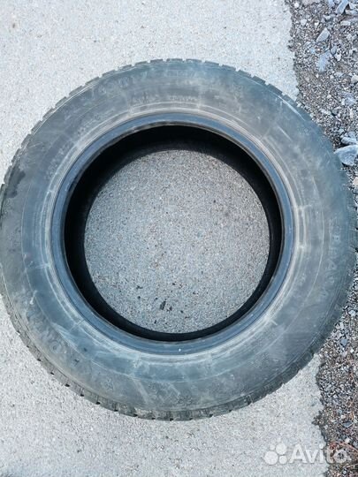 Brasa IceControl 225/65 R17