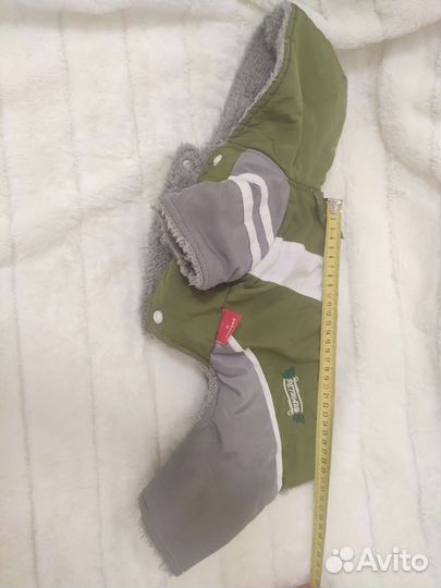 Одежда для собак