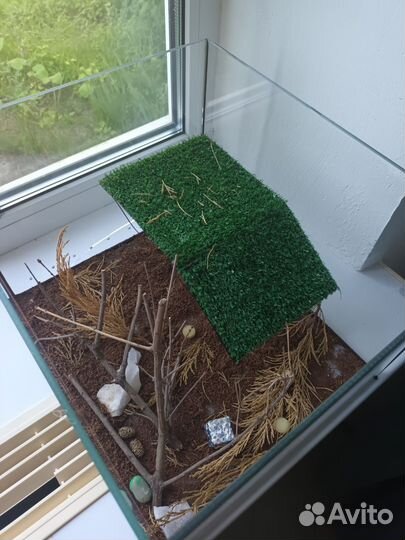 Террариум с лампой