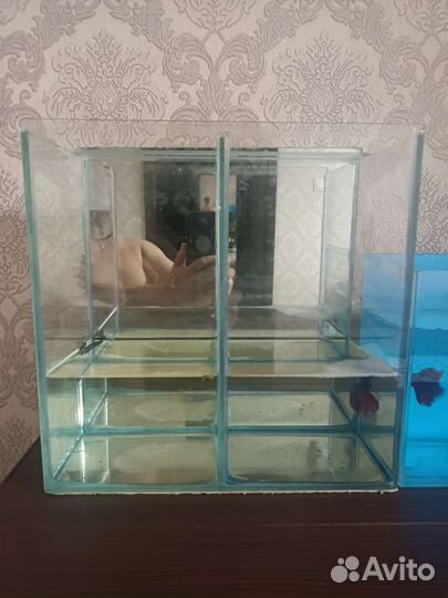 Аквариум 10 л