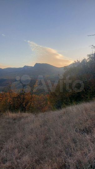 Участок 1,32 га (СНТ, ДНП)