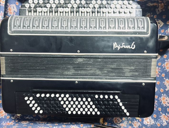 Баян рубин 6