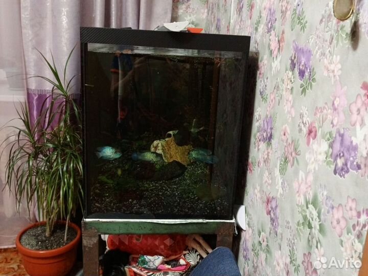 Аквариум с железной стойкой 200л