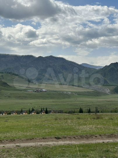 Участок 80 сот. (СНТ, ДНП)