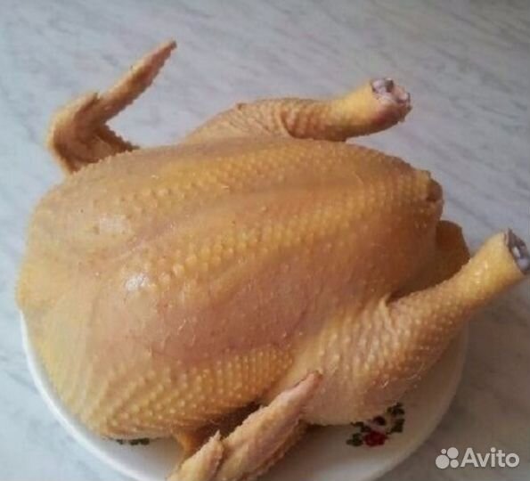 Мясо домашнего бройлера