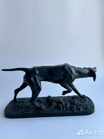 Собака пойнтер куса 1955 год