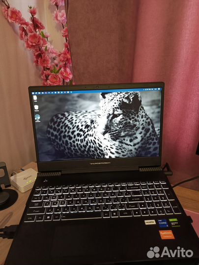 Игровой ноутбук Thunderobot 911 Air D