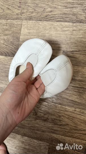 Чешки котофей 26