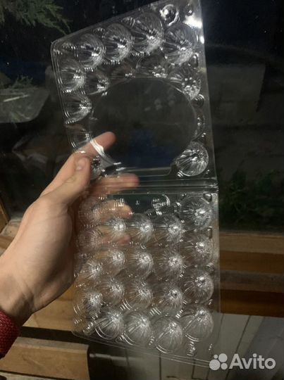 Упаковка для перепелиных яиц