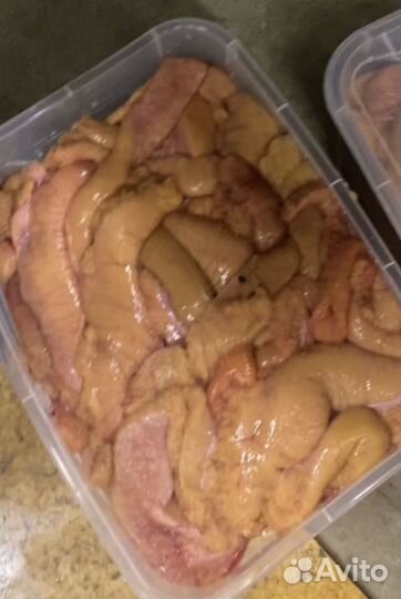 Продаю ястык щуки(вылов 2025 года)