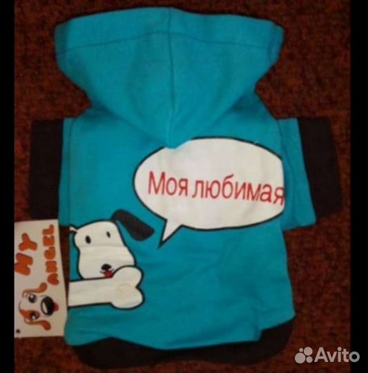 Одежда для собак