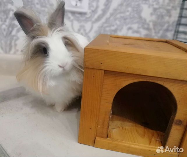 Домик для животных