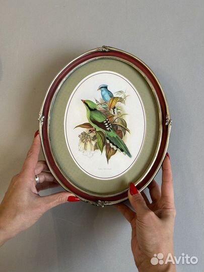 Картина в овальной раме