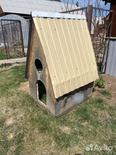 Собачья будка