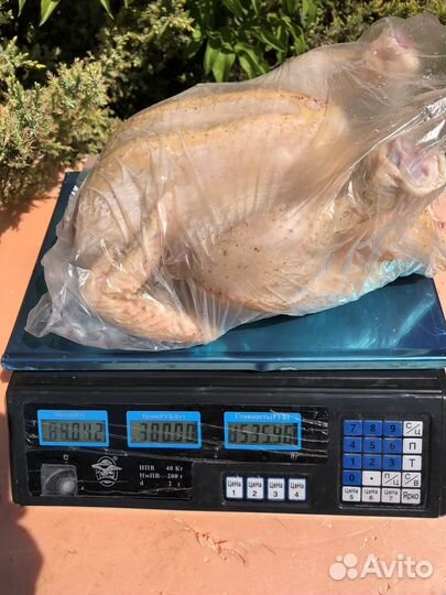 Продою своё излишки домашнего бройлера