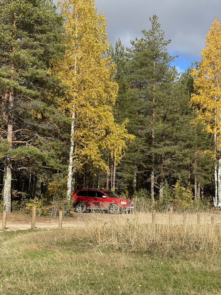 Volvo XC90: фото владельца
