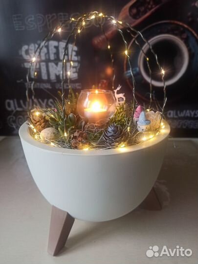 Флорариумы и минисадики с суккулентами