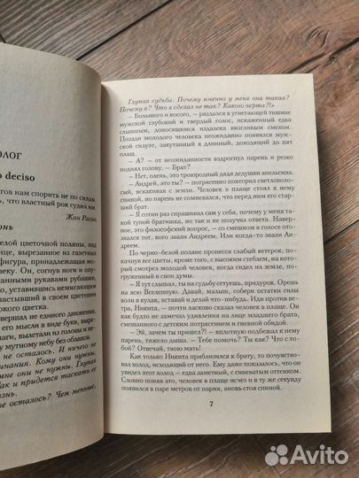 Анна Джейн. Северная корона