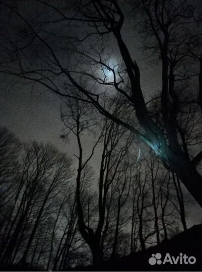 Ночная экскурсия - подземелья Кёнигсберга