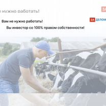 Животноводческое агентство в городе, Киев