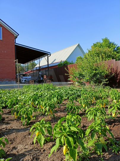 Дом 163 м² на участке 6,5 сот.