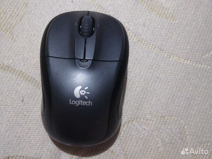 Мышь компьютерная, несколько видов