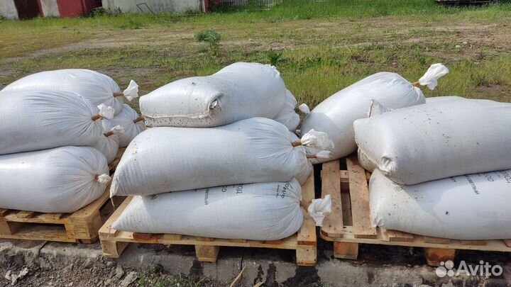 Пивная дробина