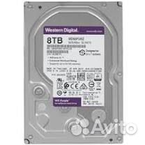 Жесткий диск Western Digital Purple 8 TB