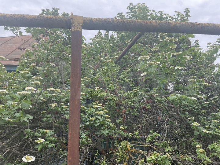 Дом 63,4 м² на участке 15 сот.