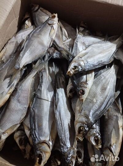 Тарань вяленая