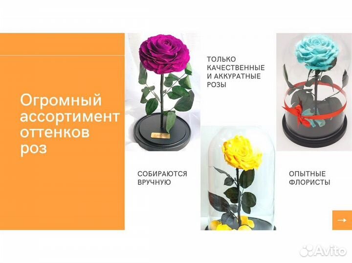 Роза в колбе. Неувядающая