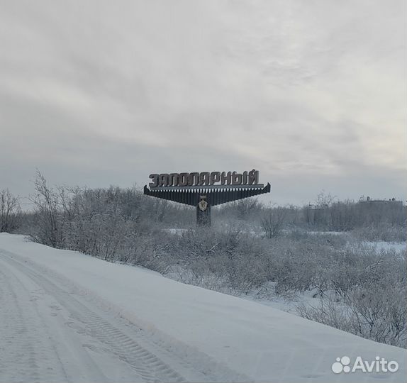 Экскурсии по Воркуте и окрестностям. Услуги гида