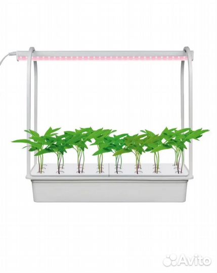 Набор для гидропоники Минисад