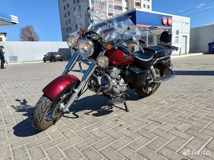 Irbis garpia