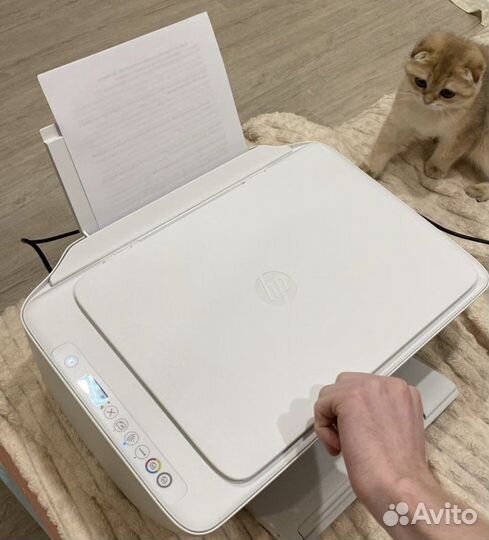 Принтер hp deskjet 2710