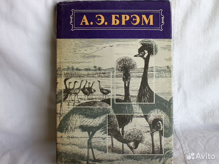 Брэм А.Э. Жизнь животных 3тома 1992г
