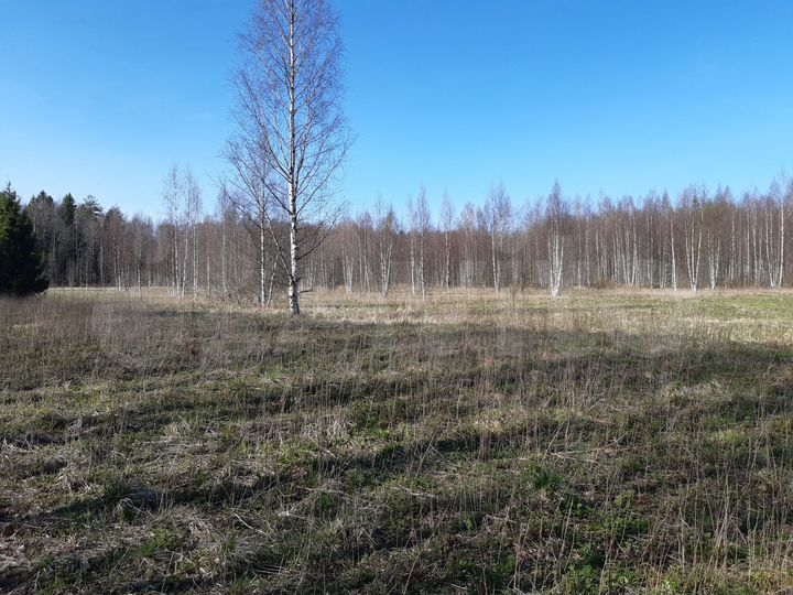 Участок 2,5 га (СНТ, ДНП)