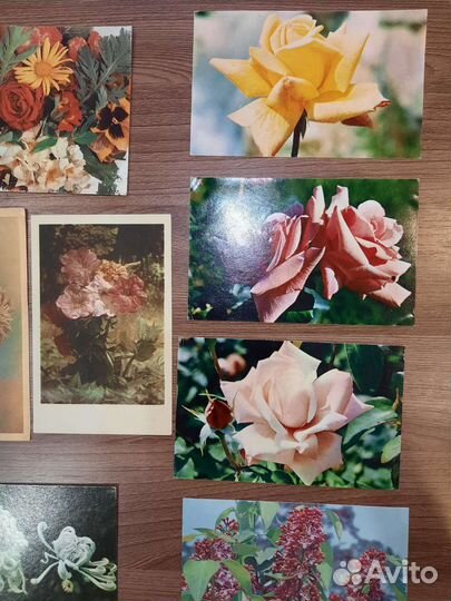 Открытки СССР