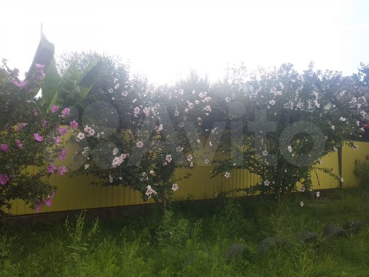 Дом 75 м² на участке 18 сот.