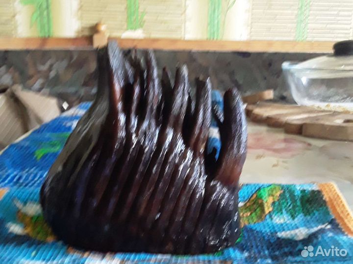 Зуб мамонта