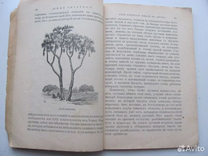 Юный читатель. Журнал №9 1903. детская