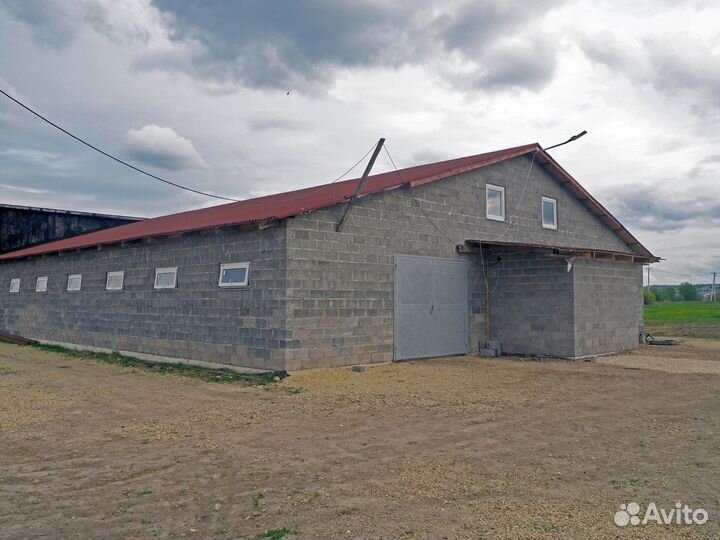 Постой для лошадей