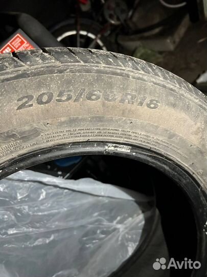 Nexen Winguard WT1 205/60 R16