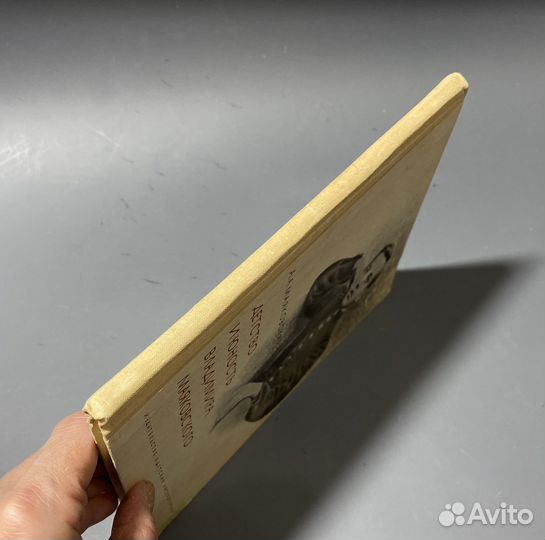 Детство и юность Владимира Маяковского