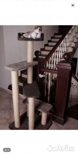 Комплекс - когтеточка для кошек 165 см