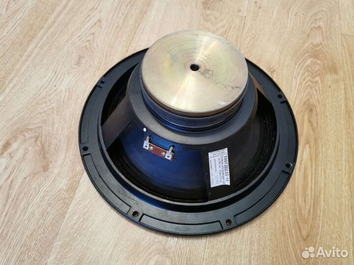 Динамик Ноэма 100гдш33-16