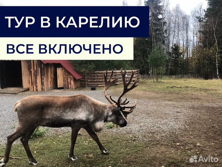 Тур в Карелию на выходные